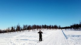 Taernaby cross country tracks