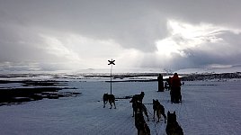 Areas without snow cover