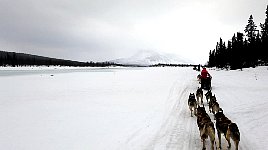 Trail Sitojaure to Aktse