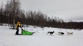 Other dog sledding tour leaving