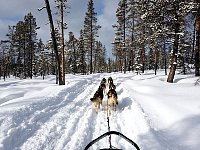 Trail back to Arrenjarka