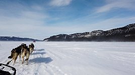 On the lake between Arrenjarka and Kvikkjokk