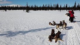 On the trail to Sitojaure