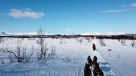 On the trail to Sitojaure