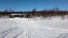 Sitojaure cabin fith dogs on the right