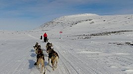 Trail to Saltoluokta