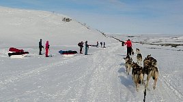 Crowded mountains