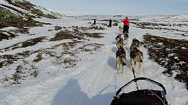 Trail to Saltoluokta with open patches