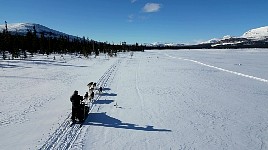 Driving a dog sled over a lake