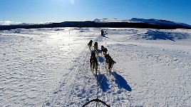 Icy lake