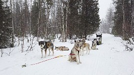 Lunch outside of Kvikkjokk