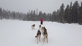 Snowfall increasing