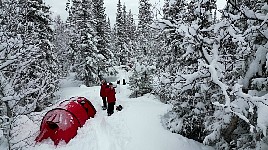 Jan and Craig ant tent