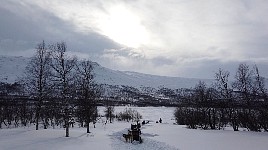 Parked dogs at Tarrekaise