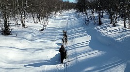 Lunch spot near Kvikkjokk