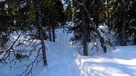 Towards the main trail