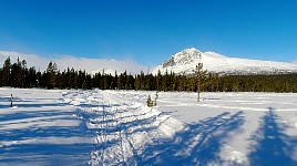 Towards Kvikkjokk