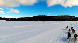 Passing Kvikkjokk - Note - I really do not like running up that tree in the middle of the picture