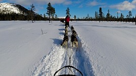 Dogsledding off the beaten track