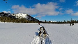 Dogsledding off the beaten track