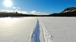 Dogsledding off the beaten track