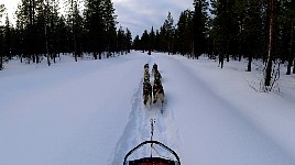 Side trail to Juksaure