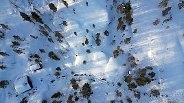 Dog sled row at hunting cabin