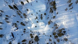 Dog sled row at hunting cabin