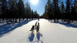 Towards main snowmobile trail