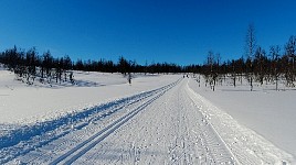 Taernaby cross country trail