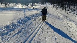 Tarnaby cross-country trail near car park