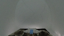 Icehotel 2024 - Inception suite