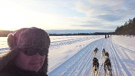 Happy on the sled