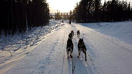 Freshly groomed trail