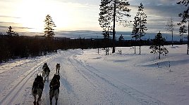 Freshly groomed trail