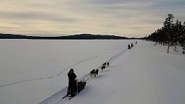 Dogsledding along a lake shore