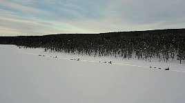 Dogsledding along a lake shore