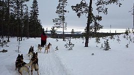 Heading downhill from the yurt