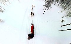 Dog sleddding seen from 3m above