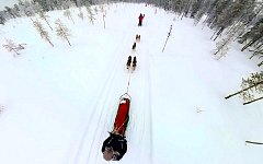 Dog sleddding seen from 3m above