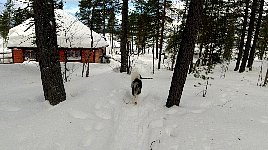 Laxholmen community cabin