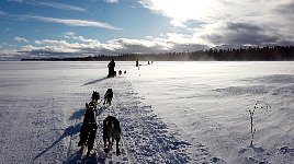 Snow blown over lake surfac