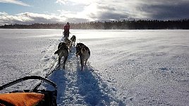 Snow blown over lake surface