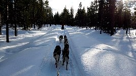 Trail from Juksaure cabin