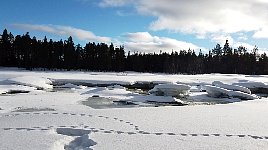 River near shelter