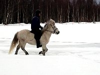 Kenneth and his horse