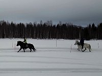 Kenneth and Catte with their horses