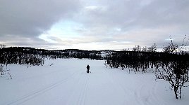 Cross-country skiing