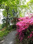 Gazebo, Portmeirion