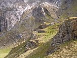 Lake Idwal, mountain sheep